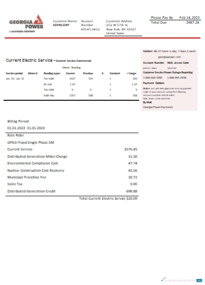 Download Georgia Power utility business bill SCR Photoshop template